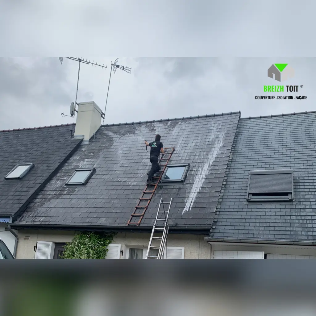 Comment enlever les lichens sur les ardoises ?