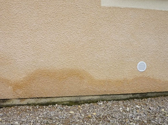 Mur humide : que faire ? Causes, solutions et conseils d’experts