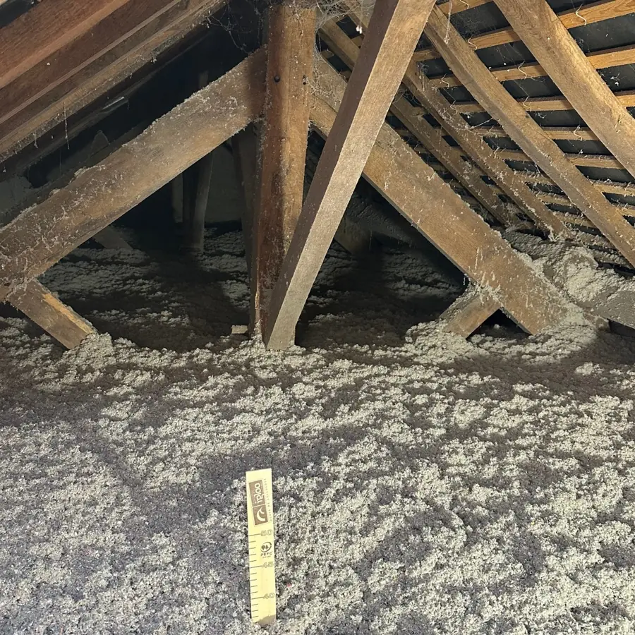 Combles isolés par soufflage de ouate de cellulose en Ille-et-Vilaine (photo 3)