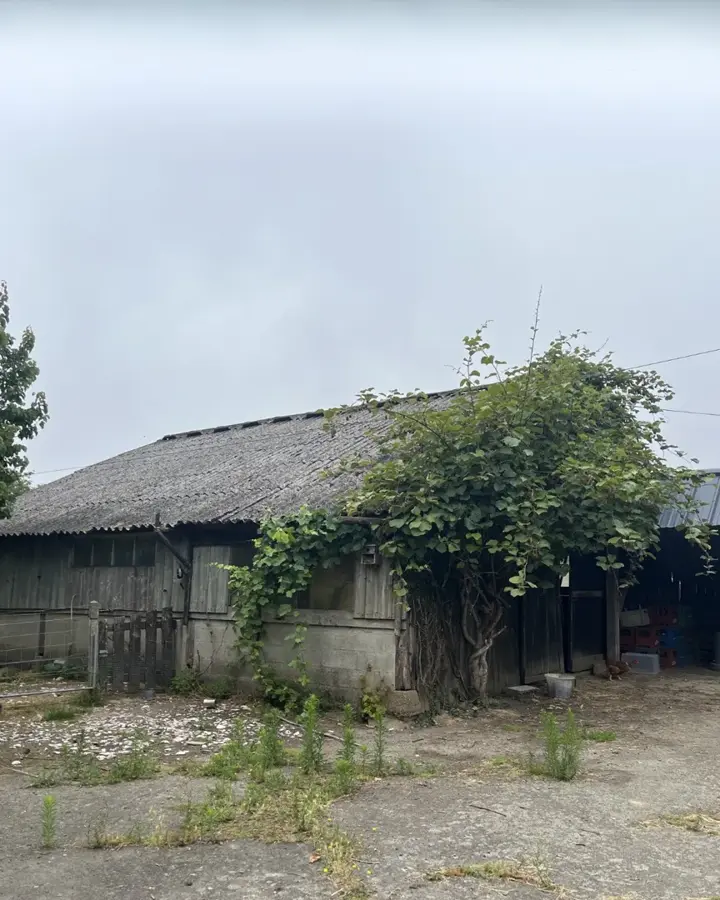 Poulailler de L'Hermitage rénové avec sa couverture neuve en bac acier (photo 2)